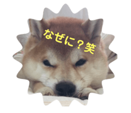 244388190