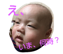 24443677
