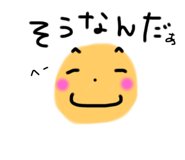 244463116