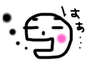 244463125
