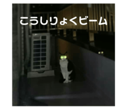 244483127