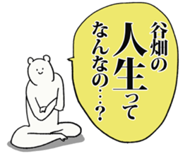 244543500