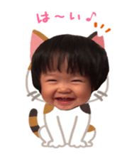 24454365