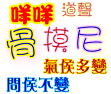 244557503