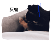 24456765
