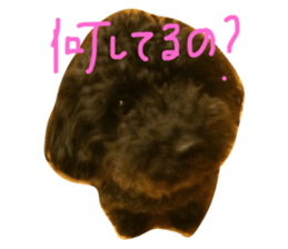 24456804
