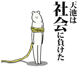 244603567