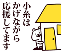 244630176