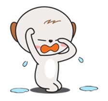 244651633