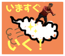 244652528