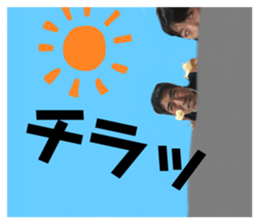 244652531