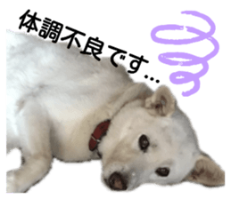 244655482