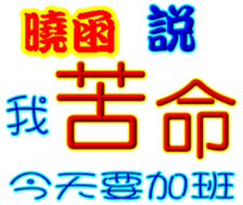244702621