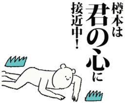 244721666