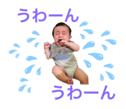 244824303
