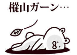 244934955