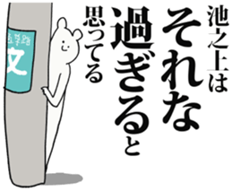 244978635