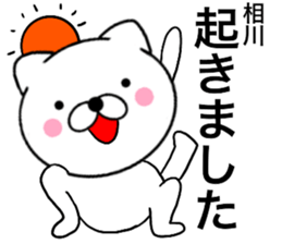 24503336