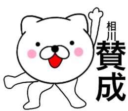 24503348