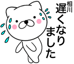 24503370