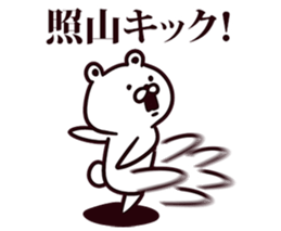 245043529