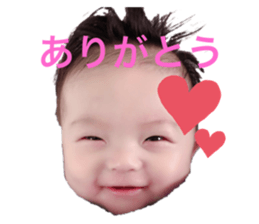 245062671