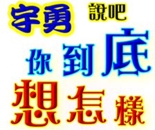 245070699
