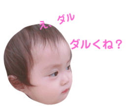 245083149