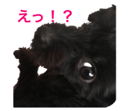 245124311
