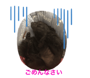 245124313