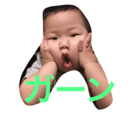 24520416