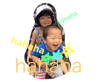 24520427