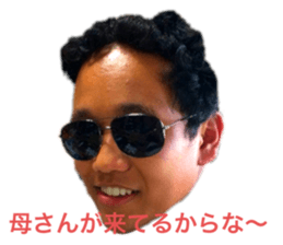 245233366