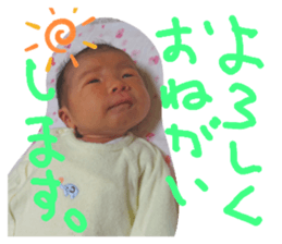 245268180