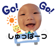 245268305