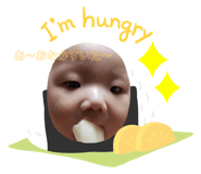 245268306