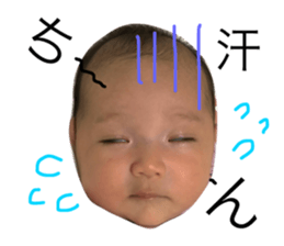 24528122