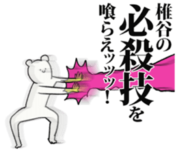 245300571