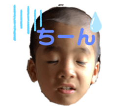 245304038