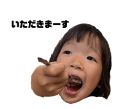 245304040