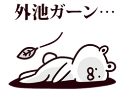 245330803