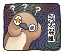 245370749