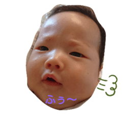245414937
