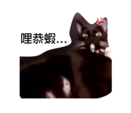 245418483