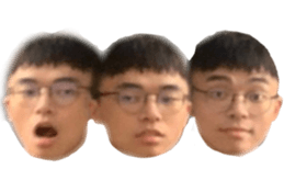 245422609