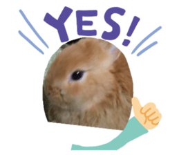 245456489