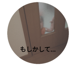 245486215