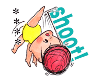 245517680