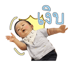 245552513