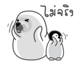24556044